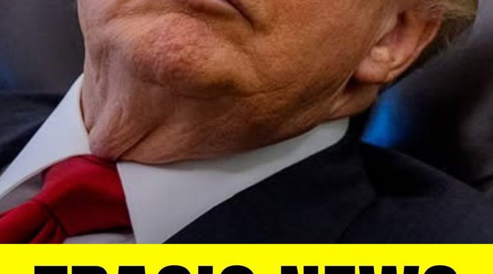 Trump Faces Criticism After Seeming to Forget Melania’s Homeland at Premiere
